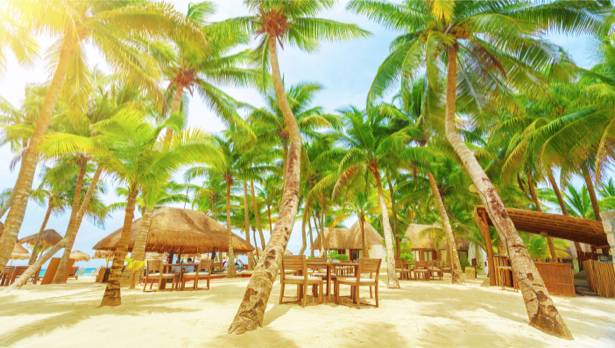 Фотообои море остров пальмы и песок (sea-0000281)