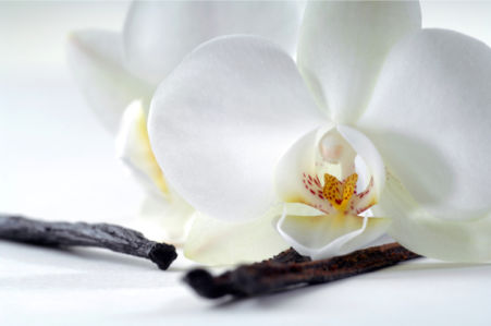 Фото обои цветок орхидея и ваниль (flowers-0000521)