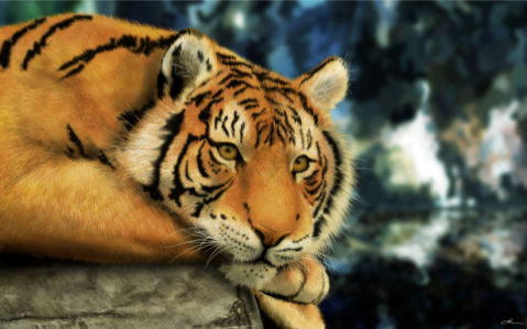 Фотообои животное тигр (animals-0000030)