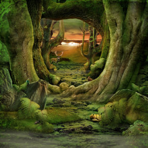 Фотообои в детскую сказочный лес (fantasy-0000154)