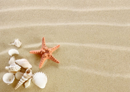 Фотообои звезда ракушки на песке (underwater-world-00088)