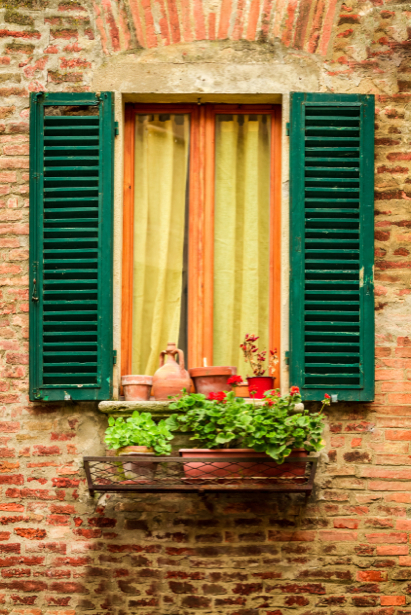 Фотообои окно с цветами (city-0001207)