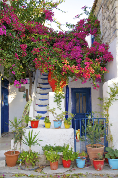 Фотообои цветы Греция дворик (city-0001226)