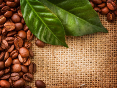 Зерна листья кофе Фотообои кухня (food-0000149)