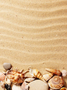 Фотообои морские на песке ракушки (sea-0000105)