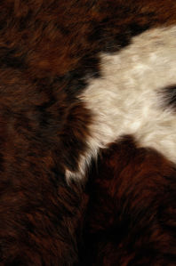 Фотообои шкура животных шерсть (background-0000314)