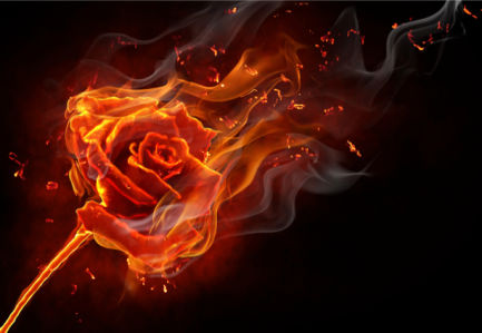 Фотообои огненная роза (fantasy-0000001)