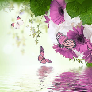 Обои для стен цветы и бабочки (flowers-0000579)