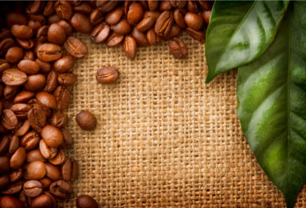Фотообои кухня зерна кофе листья (food-0000150)
