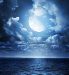 Фотообои фото море ночь луна (sea-0000079)