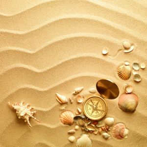 Морские ракушки на песке для ванной (underwater-world-00091)
