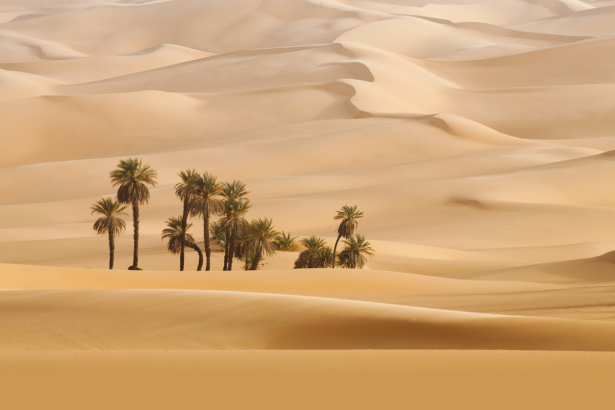 Фотошторы песчаные дюны (bedroom-curtain-00007)