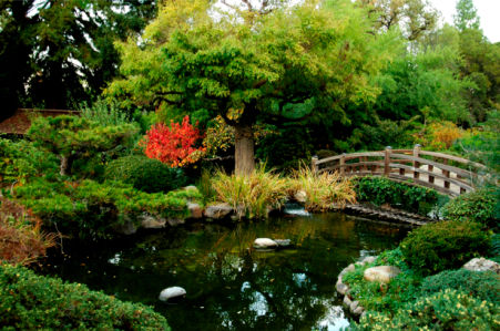 Фотообои с природой японский сад (nature-00057)