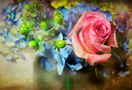 Роза - Фотообои на стену (flowers-0000214)