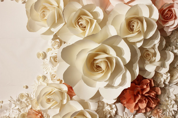 Фотообои бумажные розы (flowers-815)