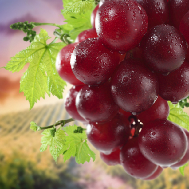 Фотообои на кухне гроздь винограда (food-0000220)