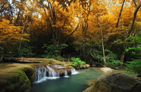Фотообои осенний лес водопад (nature-00559)