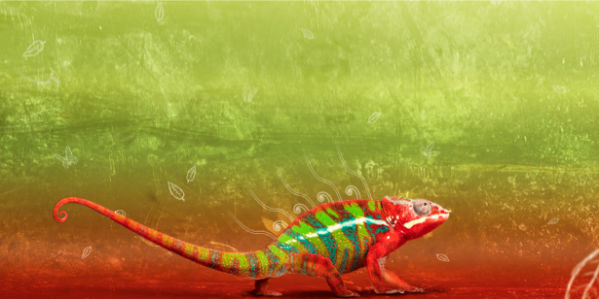 Фотообои хамелеон красно зеленый (animals-0000096)