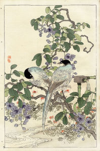 Коно японская графика птицы (japanese-chart-4)