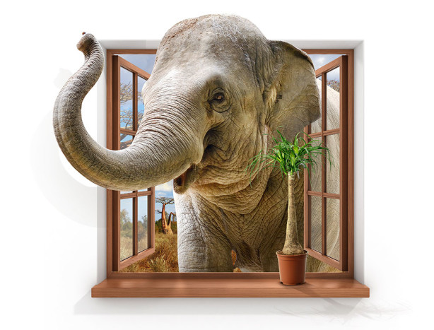 Фотообои Слон в окне (child-474)