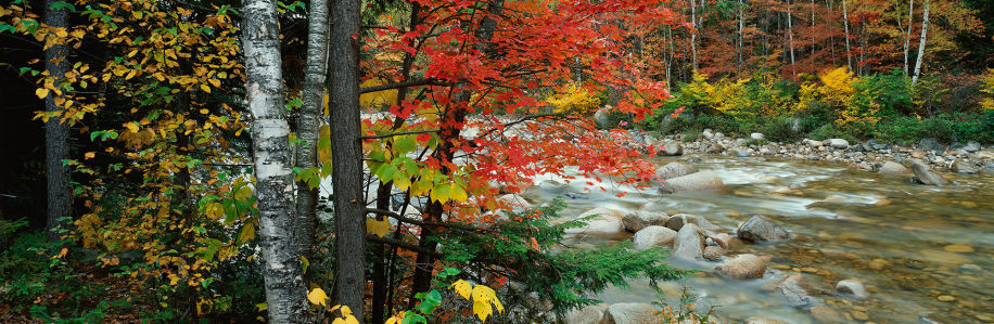 Фотообои осенний пейзаж с горной речкой (nature-00341)