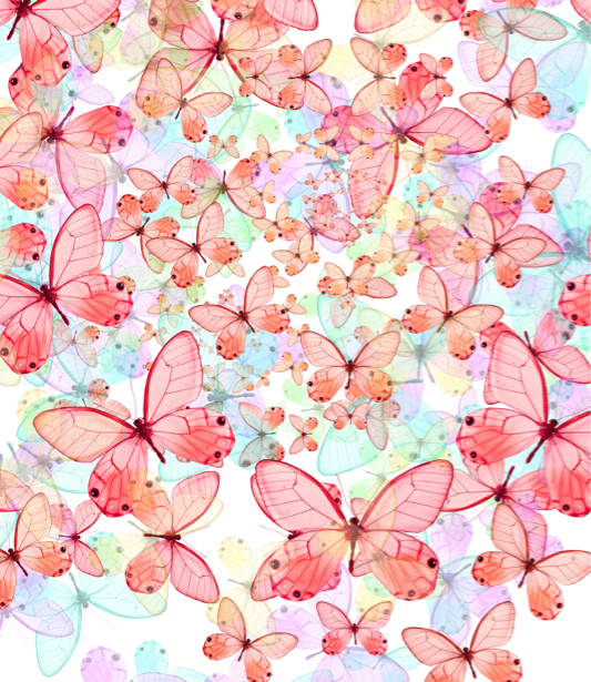 Фотообои бабочки (background-0000108)
