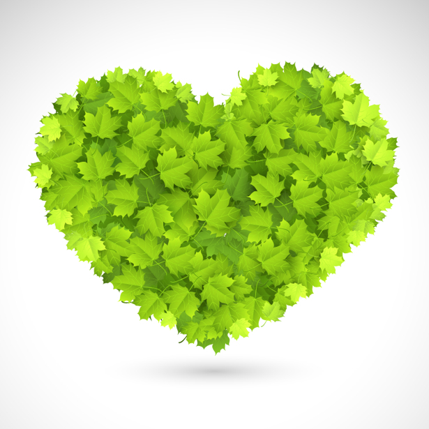 Фотообои сердце из зеленых листьев (background-0000373)