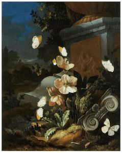 цветы Голландский натюрморт (pf-20)