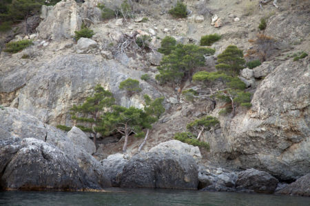 Фотообои море крымские горы (nature-00626)