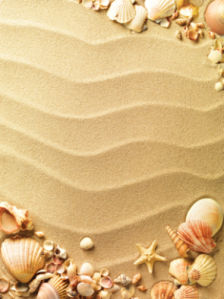 Фотообои на песке морские ракушки (sea-0000106)