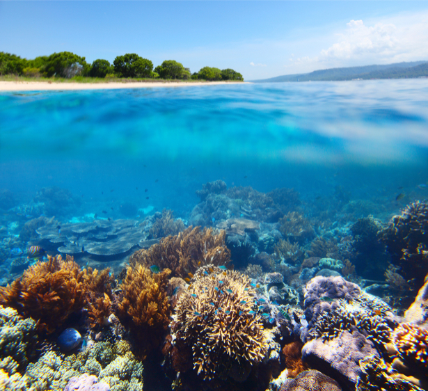 Фотообои море берег остров подводный мир (sea-0000295)